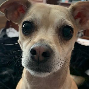 Meet your Posher, Kristen